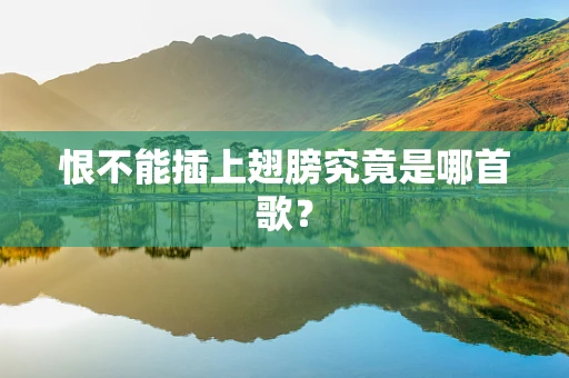 恨不能插上翅膀究竟是哪首歌？