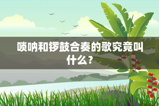 唢呐和锣鼓合奏的歌究竟叫什么？