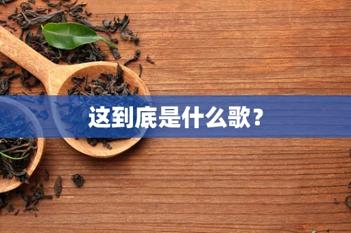 这到底是什么歌？