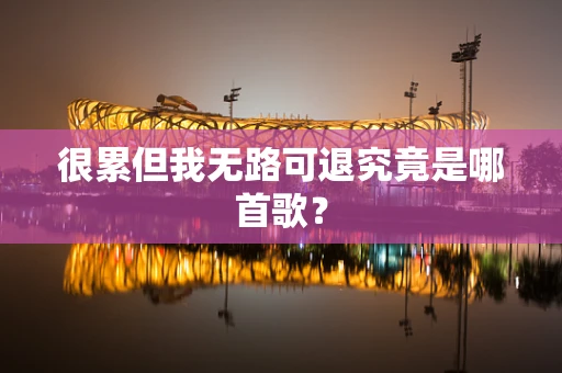 很累但我无路可退究竟是哪首歌？