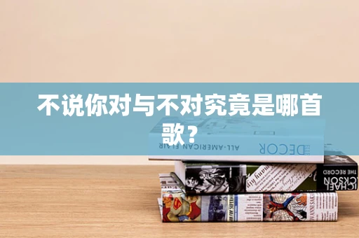 不说你对与不对究竟是哪首歌？