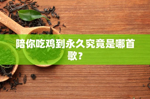 陪你吃鸡到永久究竟是哪首歌？