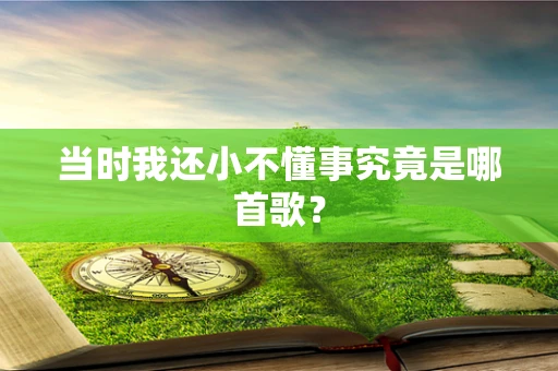 当时我还小不懂事究竟是哪首歌？
