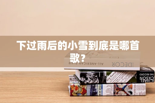 下过雨后的小雪到底是哪首歌？