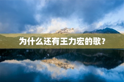 为什么还有王力宏的歌？