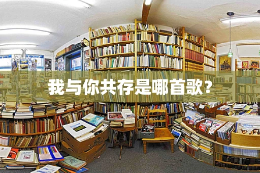 我与你共存是哪首歌？