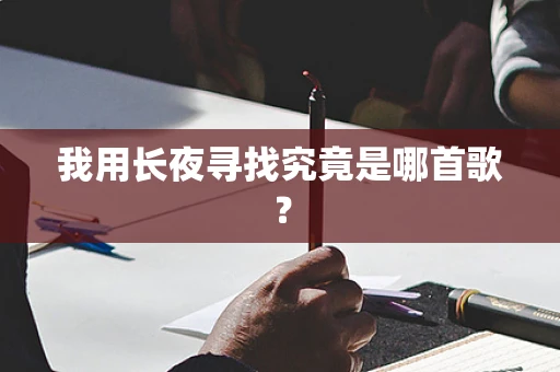 我用长夜寻找究竟是哪首歌？
