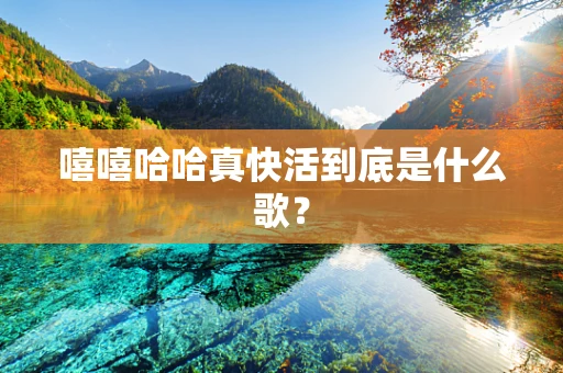 嘻嘻哈哈真快活到底是什么歌？