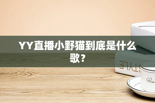 YY直播小野猫到底是什么歌？