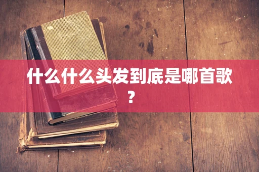 什么什么头发到底是哪首歌？