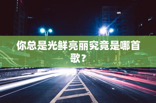 你总是光鲜亮丽究竟是哪首歌？