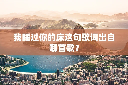 我睡过你的床这句歌词出自哪首歌？
