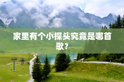 家里有个小探头究竟是哪首歌？
