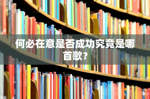 何必在意是否成功究竟是哪首歌？