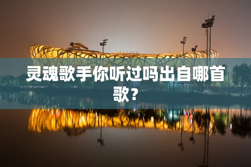 灵魂歌手你听过吗出自哪首歌？