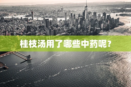 桂枝汤用了哪些中药呢？