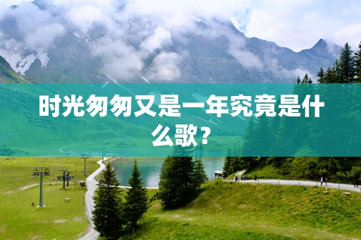 时光匆匆又是一年究竟是什么歌？