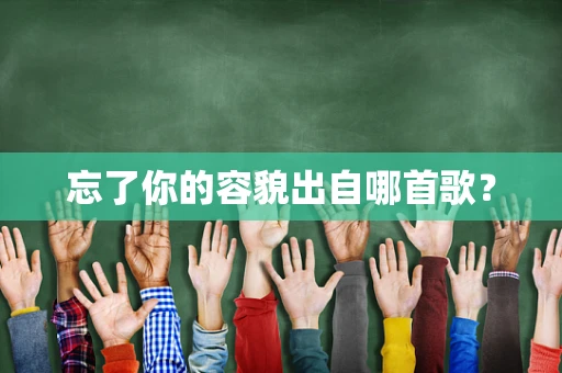 忘了你的容貌出自哪首歌？