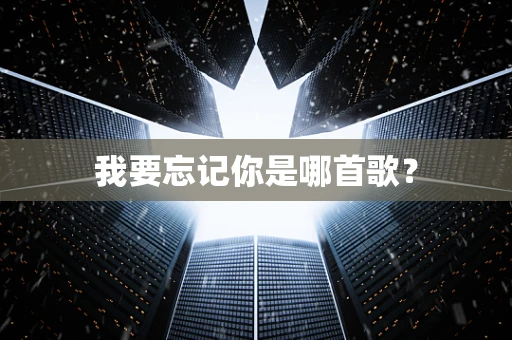 我要忘记你是哪首歌？