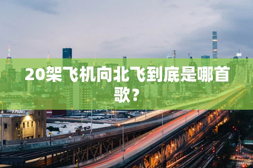 20架飞机向北飞到底是哪首歌？