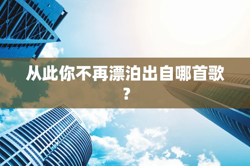 从此你不再漂泊出自哪首歌？
