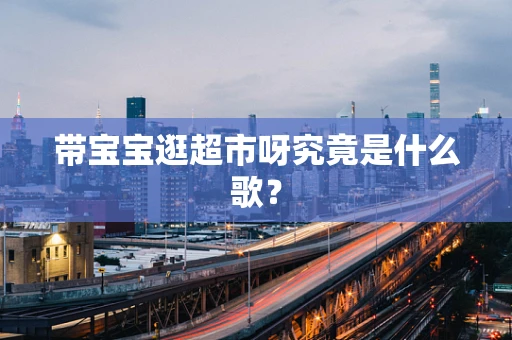 带宝宝逛超市呀究竟是什么歌？
