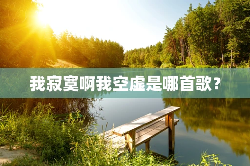 我寂寞啊我空虚是哪首歌？
