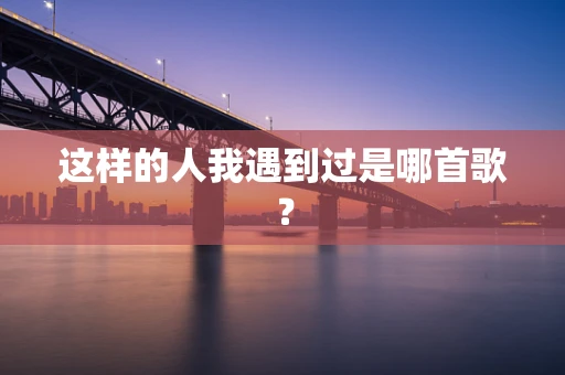 这样的人我遇到过是哪首歌？