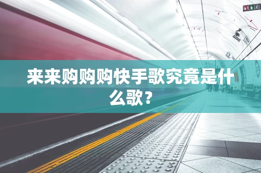来来购购购快手歌究竟是什么歌？