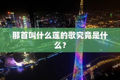 那首叫什么莲的歌究竟是什么？