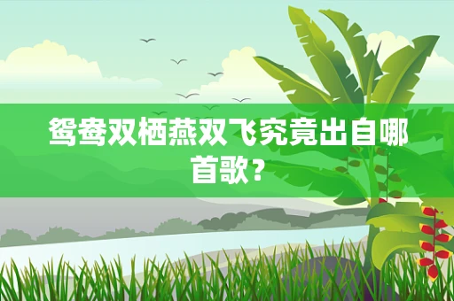 鸳鸯双栖燕双飞究竟出自哪首歌？