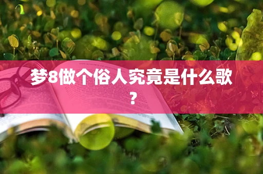 梦8做个俗人究竟是什么歌？
