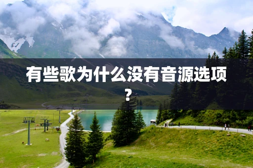 有些歌为什么没有音源选项？