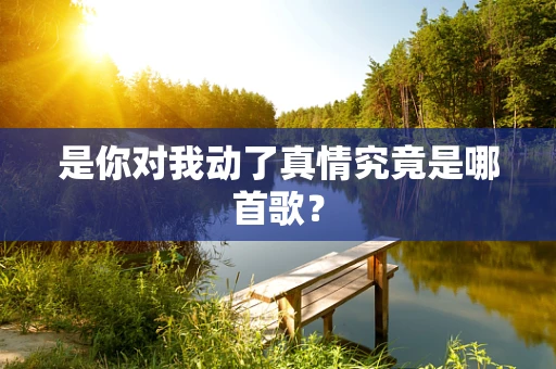是你对我动了真情究竟是哪首歌？