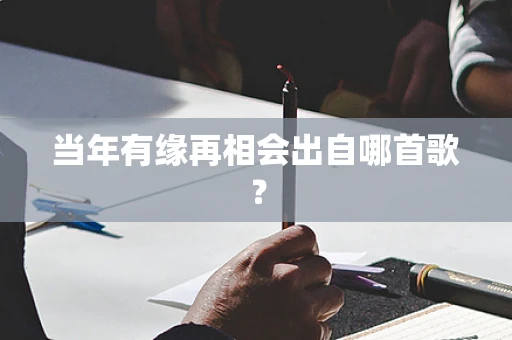 当年有缘再相会出自哪首歌？