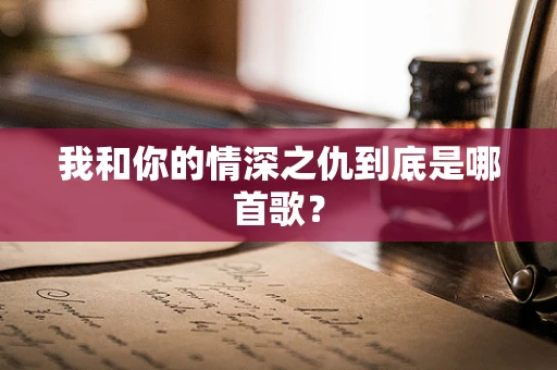 我和你的情深之仇到底是哪首歌？