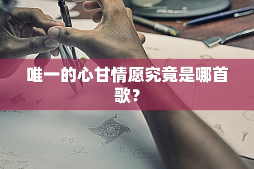 唯一的心甘情愿究竟是哪首歌？