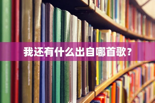 我还有什么出自哪首歌？