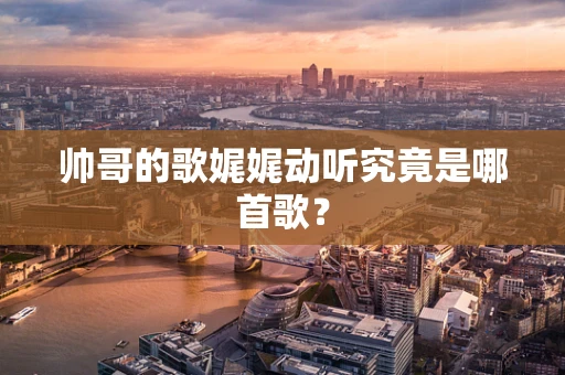 帅哥的歌娓娓动听究竟是哪首歌？