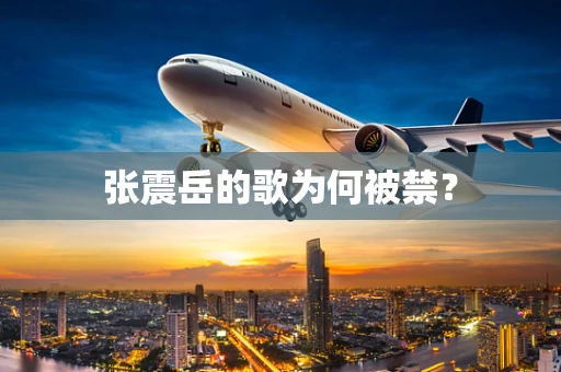 张震岳的歌为何被禁？