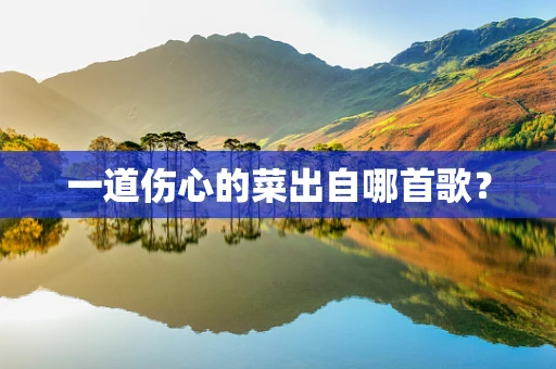 一道伤心的菜出自哪首歌？