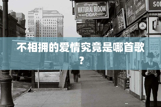 不相拥的爱情究竟是哪首歌？