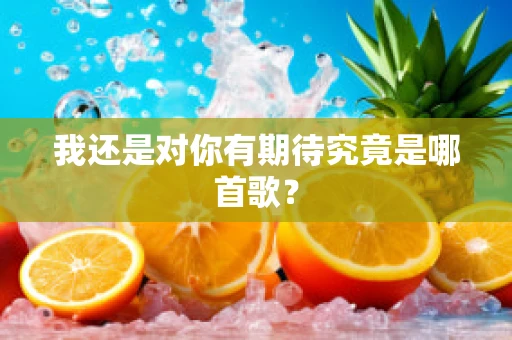 我还是对你有期待究竟是哪首歌？