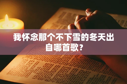 我怀念那个不下雪的冬天出自哪首歌？
