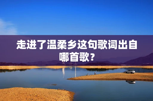 走进了温柔乡这句歌词出自哪首歌？