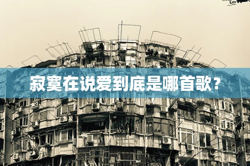 寂寞在说爱到底是哪首歌？
