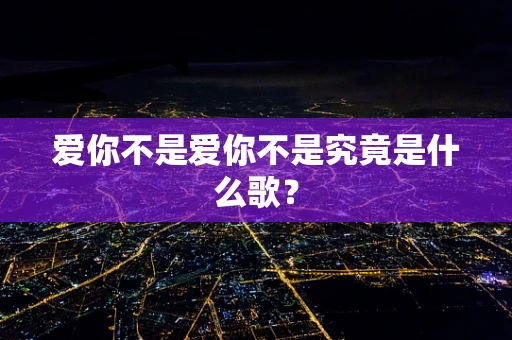 爱你不是爱你不是究竟是什么歌？