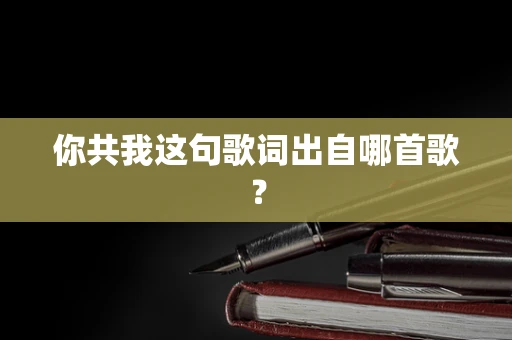 你共我这句歌词出自哪首歌？