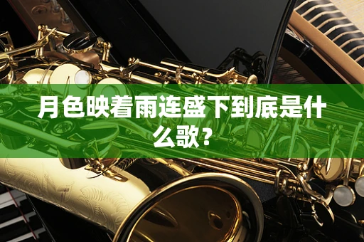月色映着雨连盛下到底是什么歌？