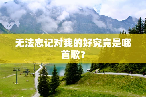 无法忘记对我的好究竟是哪首歌？